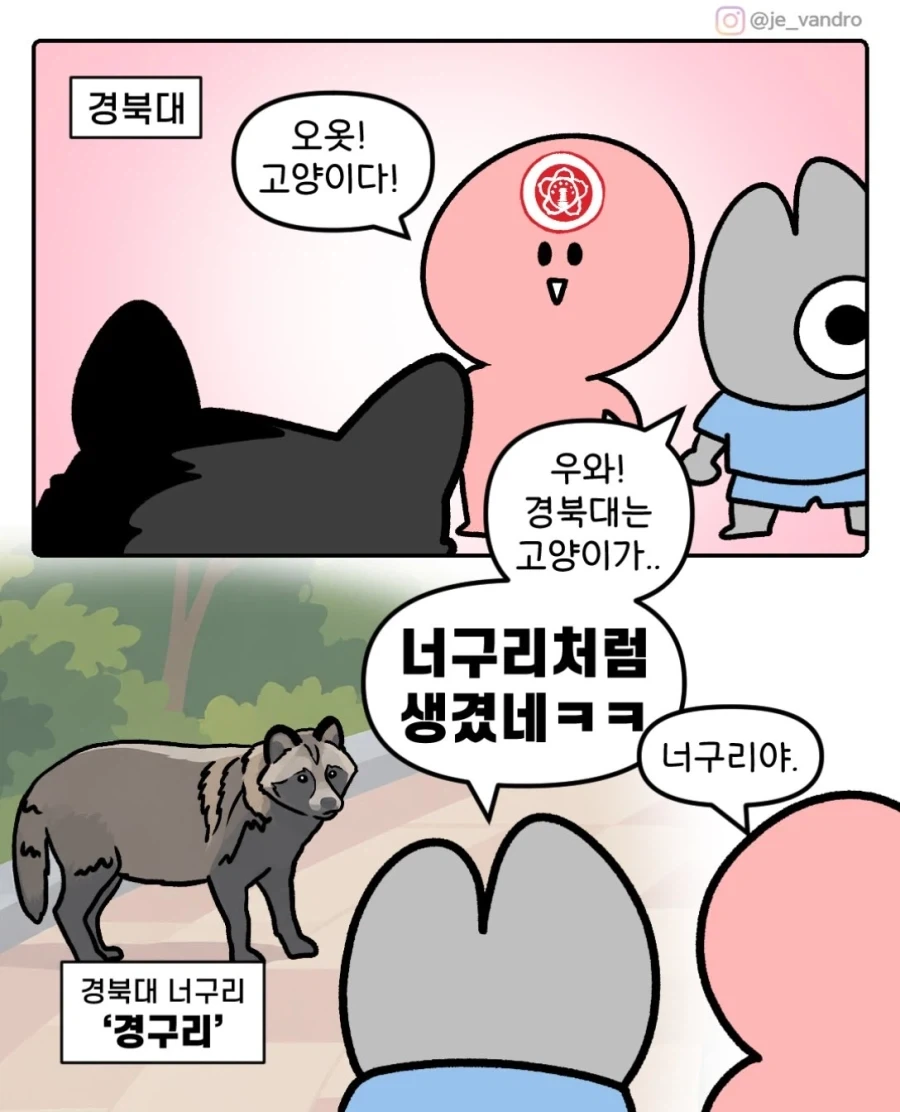 와~ 경북대 고앵이다_1.webp