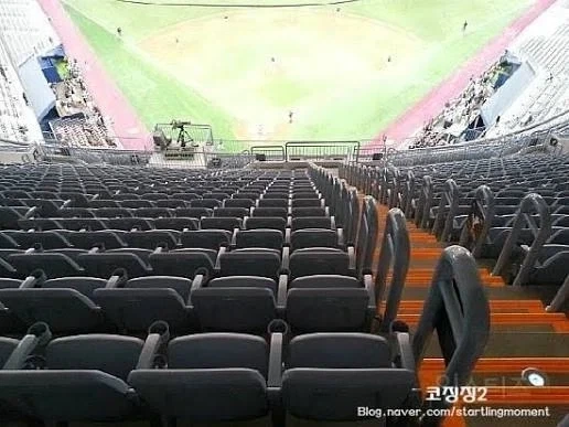 야구에 목숨 건 두 야구팬들_2.webp