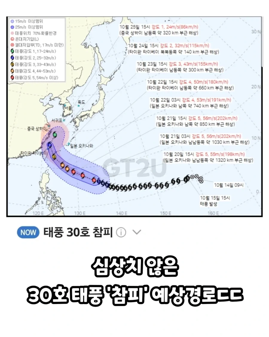 참피 이ㅅㅋ 왜 갑자기 꺾은거여?_1.webp