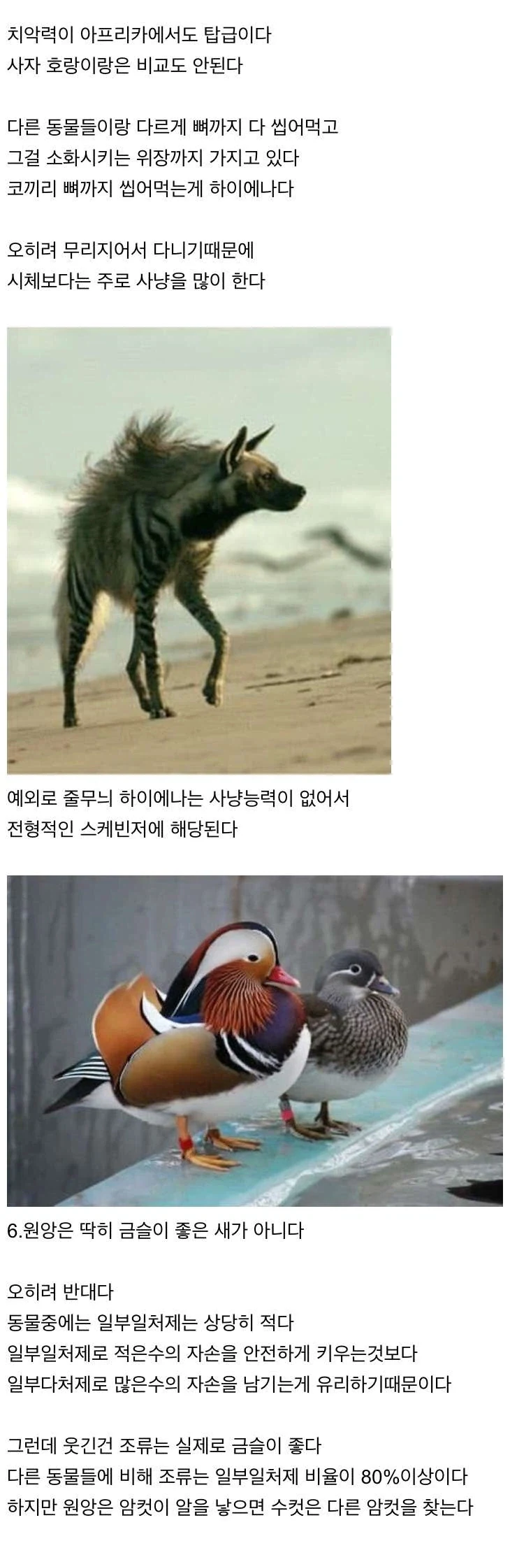 신기한 동물 지식 10가지_1.webp