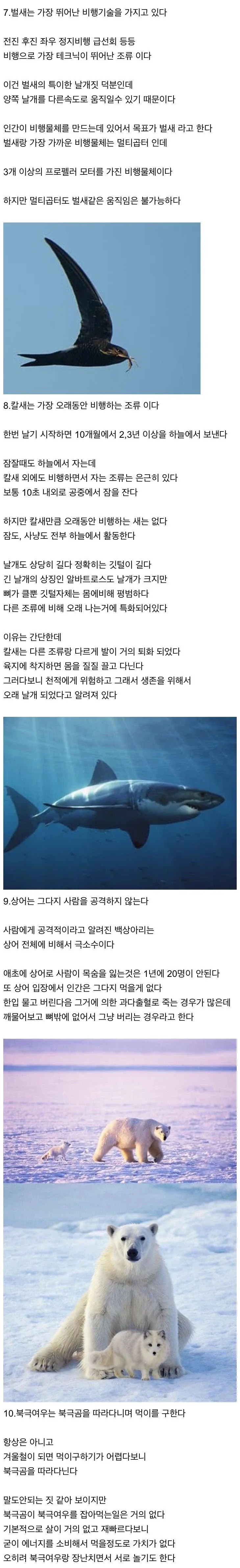 신기한 동물 지식 10가지_2.webp