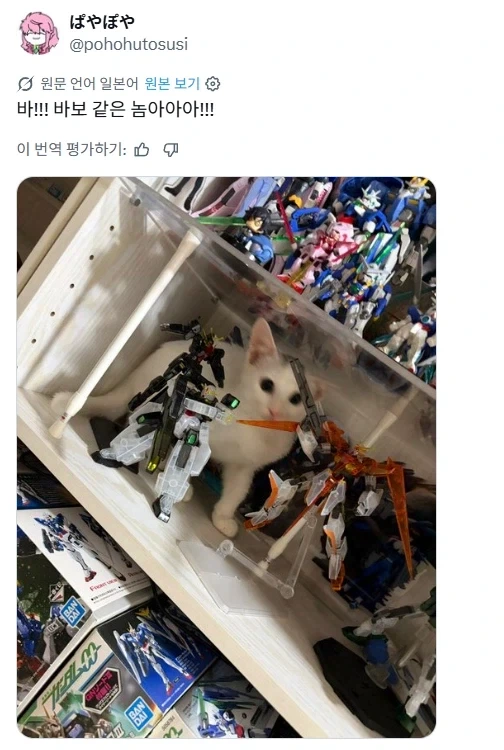 다급한 집사.jpg_1.webp