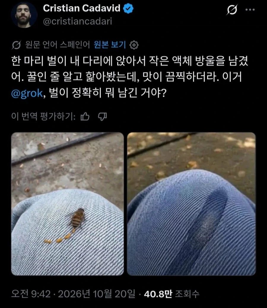 꿀벌이 떠나면서 내게 남긴것_1.webp