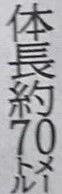 일본의 거대한 곰들.jpg_2.webp