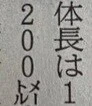 일본의 거대한 곰들.jpg_3.webp