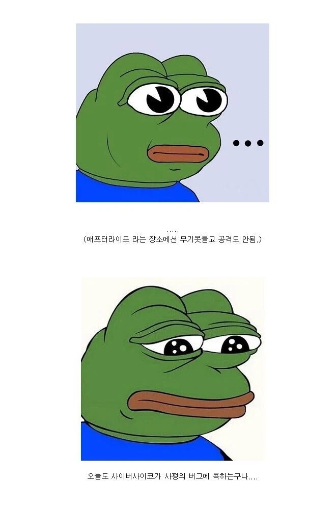 사펑) 어느 유저의 버그에 대한 한탄_3.webp