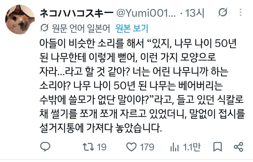 반항하던 아이가 입을 다문 이유_2.webp