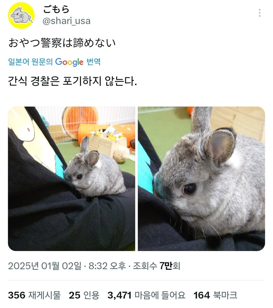포기하지 않는 눈빛_1.jpg