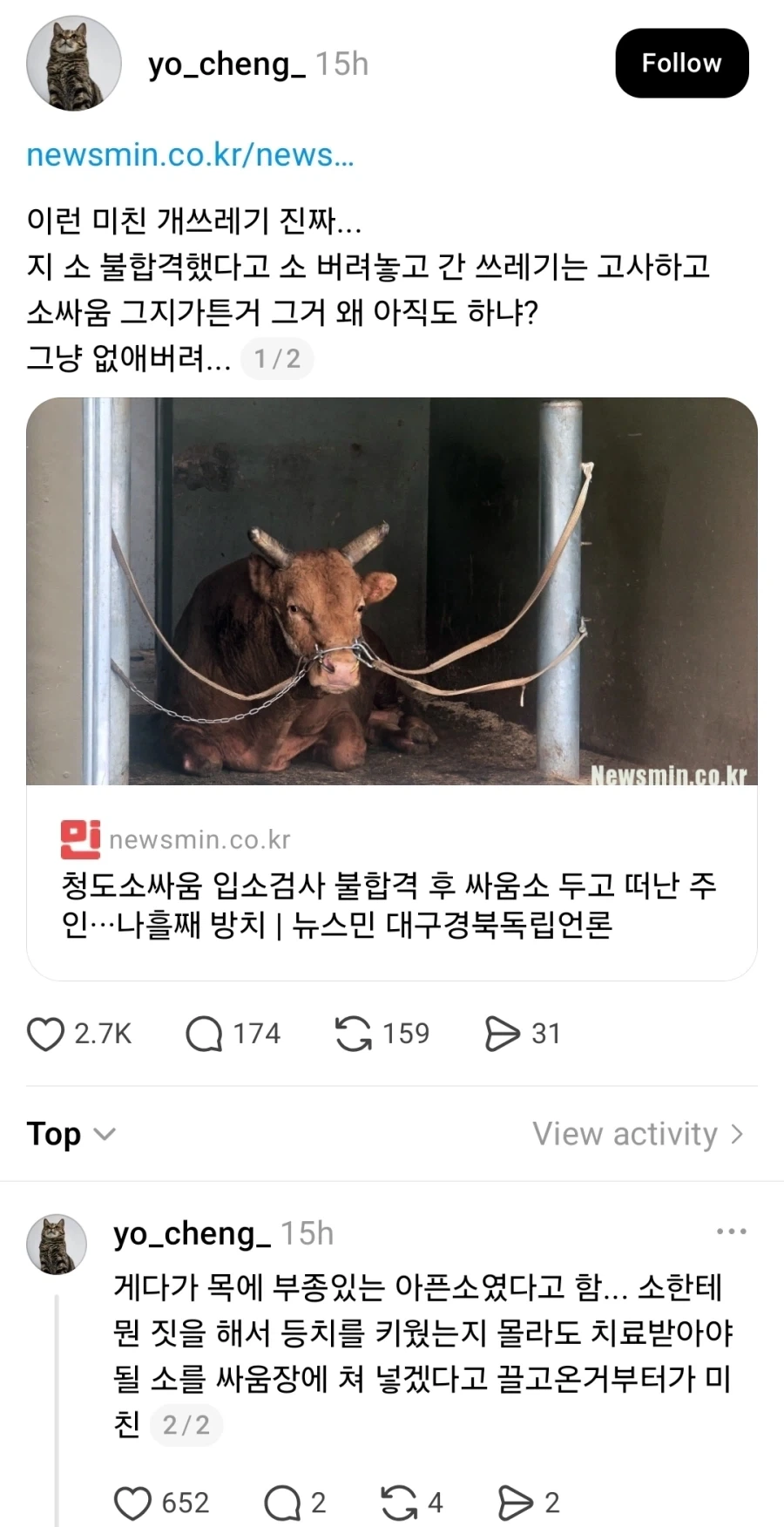 청도소싸움 검사 불합격했다고 싸움소 버리고 간 주인_1.webp