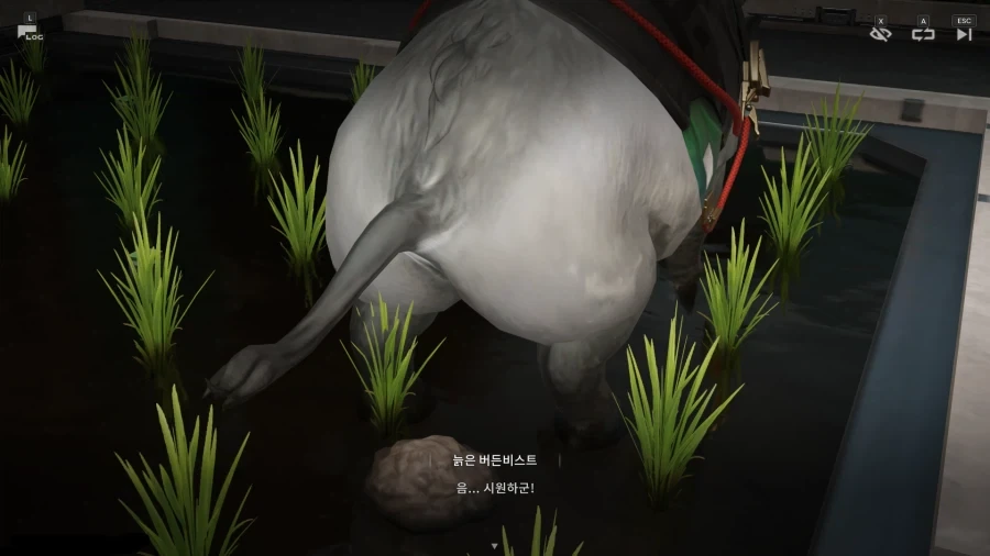 엔드필드) 왜 이렇게 똥을 보여주고 싶은거야?_1.webp