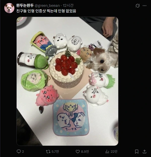 인형 컨셉샷 찍는데 인형이 없음_1.webp