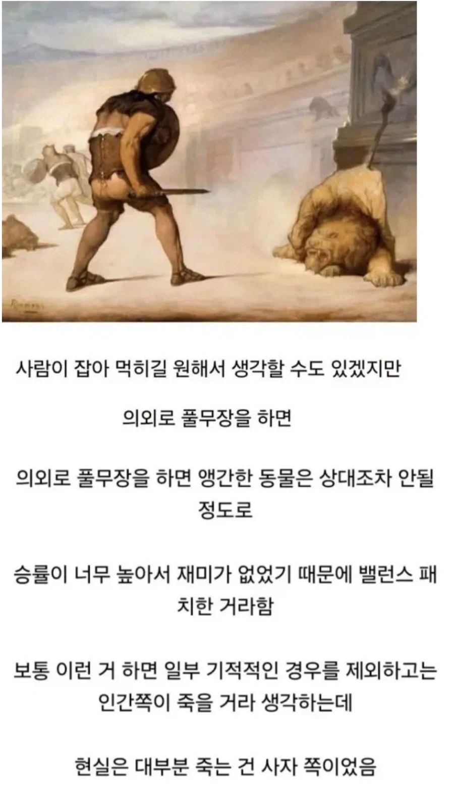 콜로세움 의외의 사실_1.webp