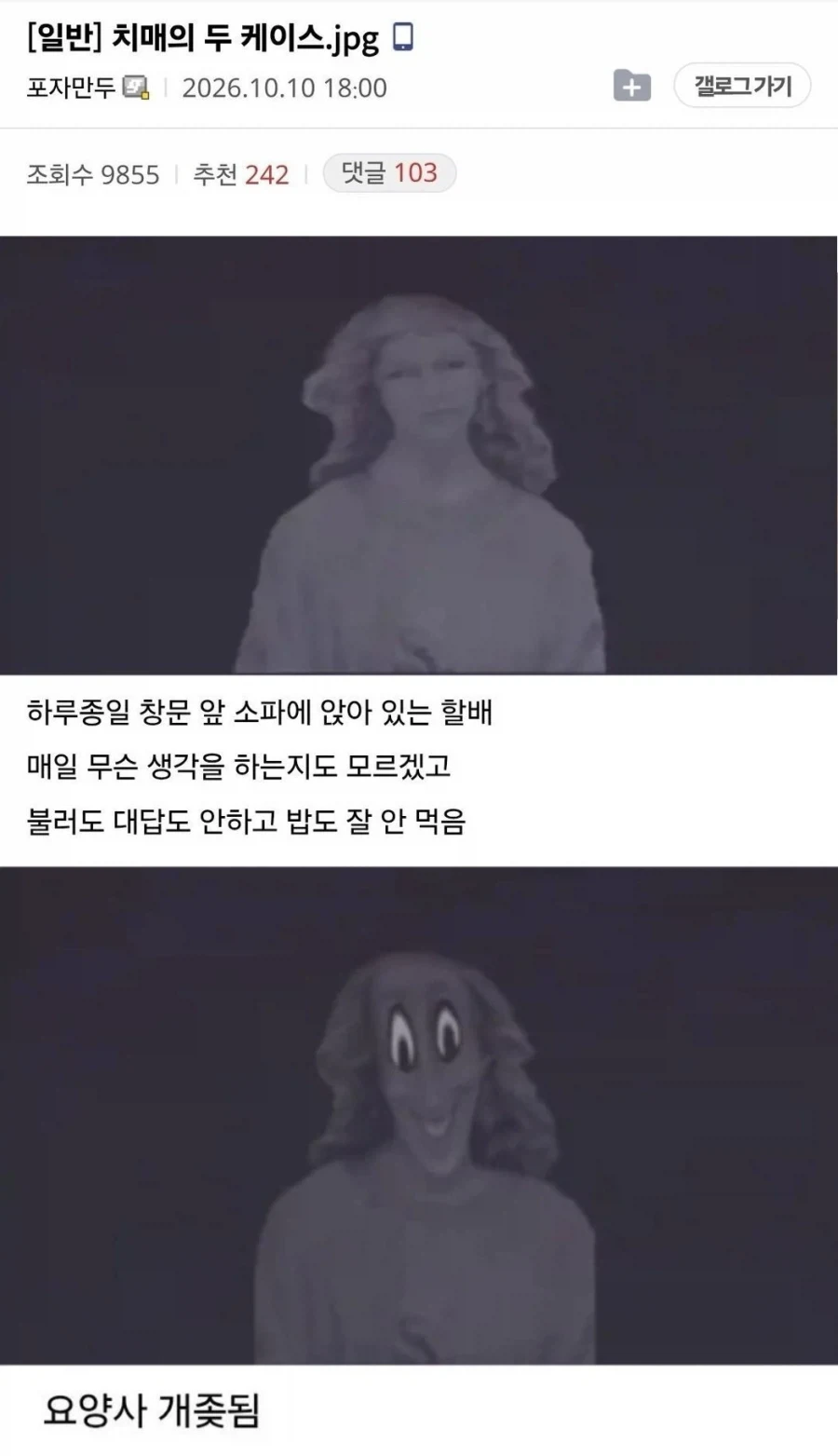 치매의 두 케이스.jpg_1.webp