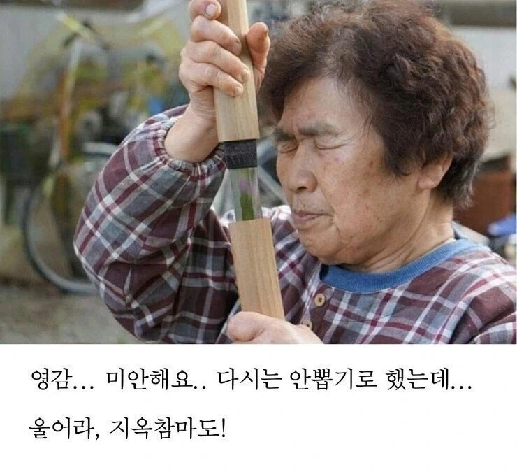 가공무역의 나라.jpg_1.webp