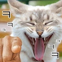 고양이 없어진 줄 알고 오열한 집사_2.webp