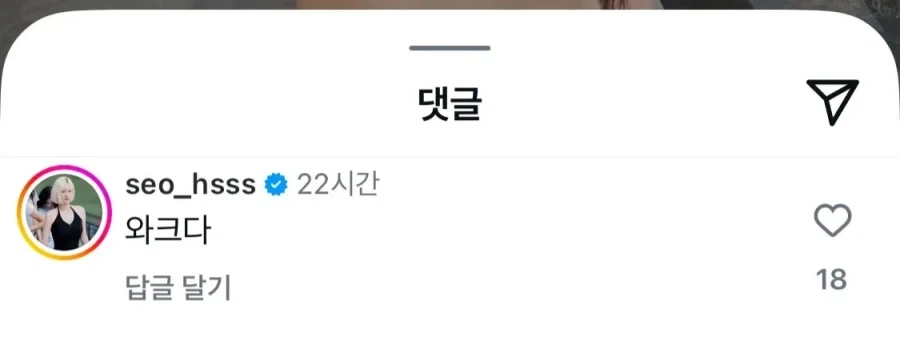 치어리더가 비키니 사진 올리자 동료들 반응 ㅋㅋㅋ_5.webp