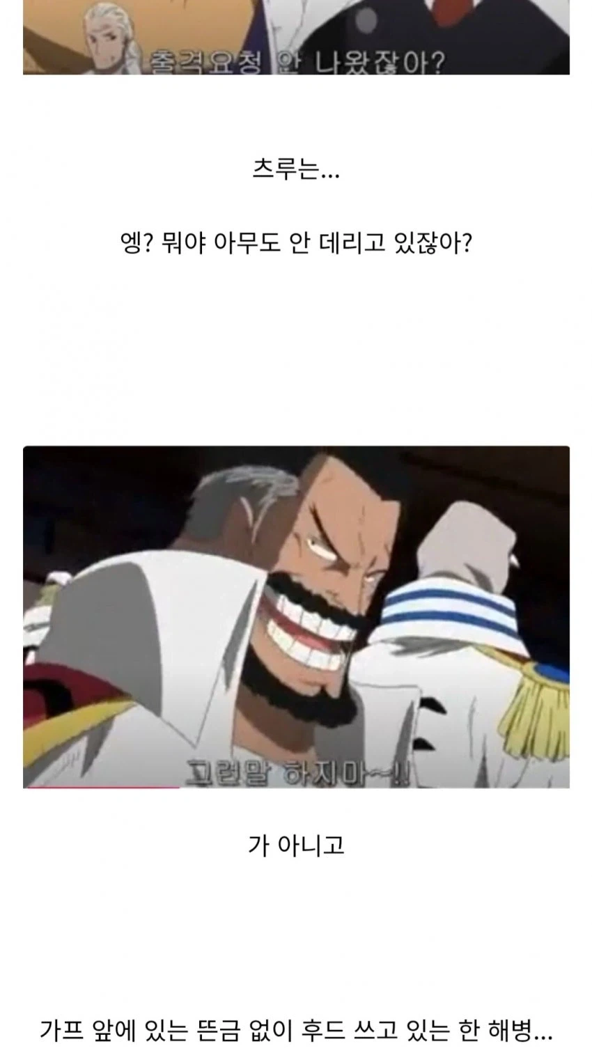 원피스 사카즈키 관련 재밌었던 추측_3.webp