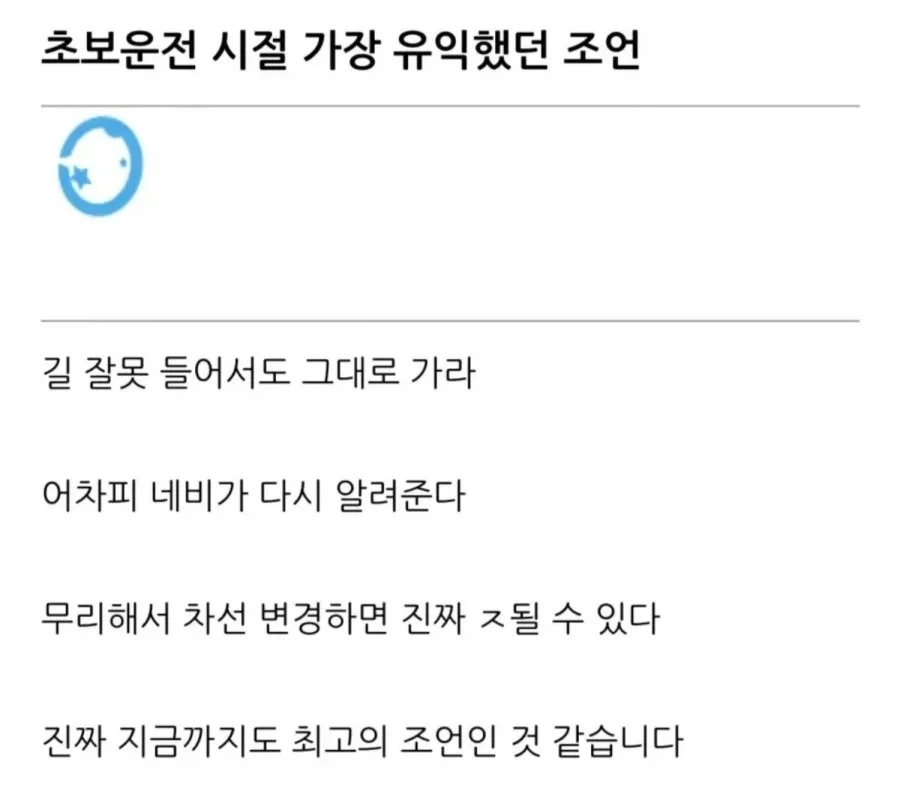 초보 운전 시절 가장 유익했던 조언_1.webp