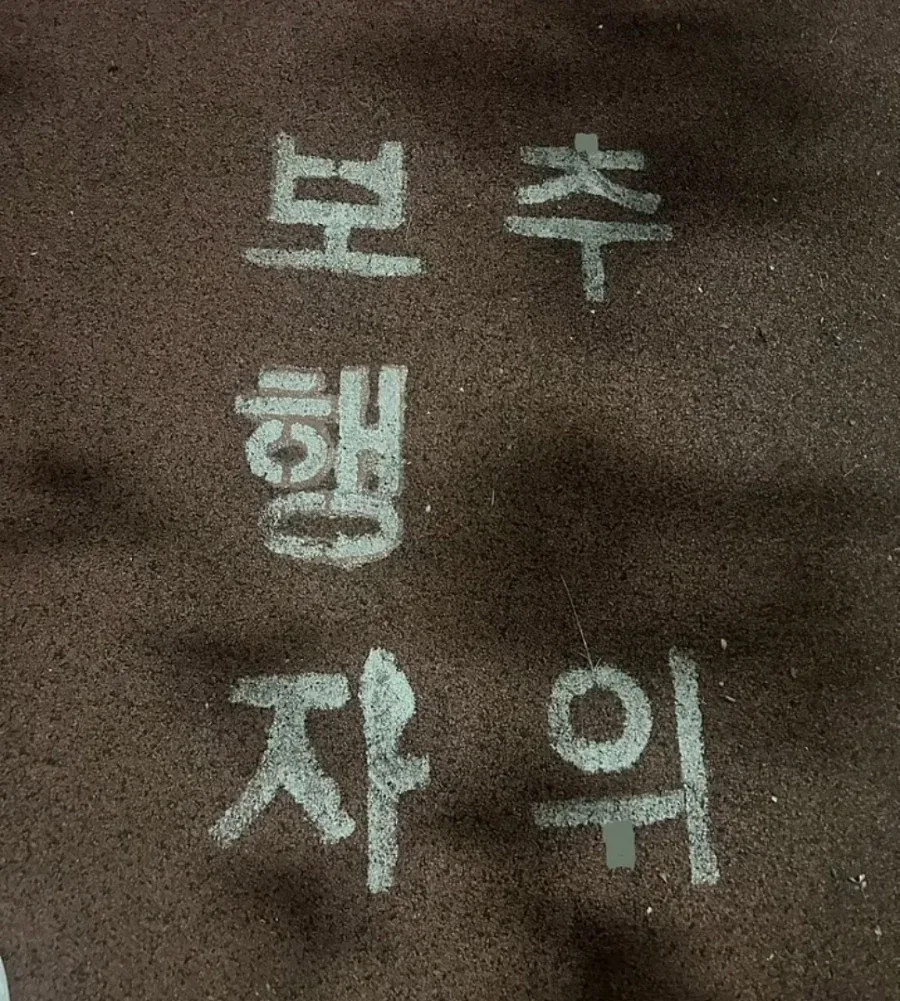 보행자 추위_1.webp