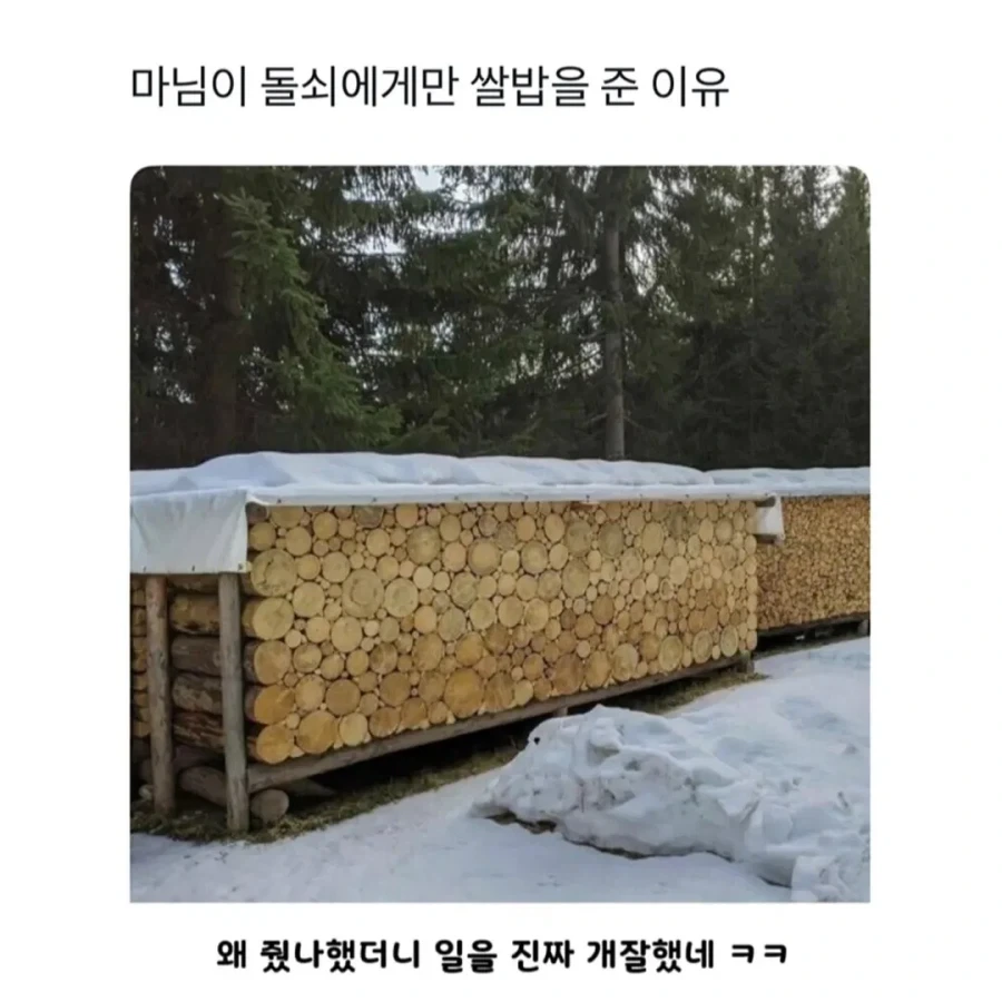 마님이 돌쇠에게 쌀밥을 준.eu_1.webp