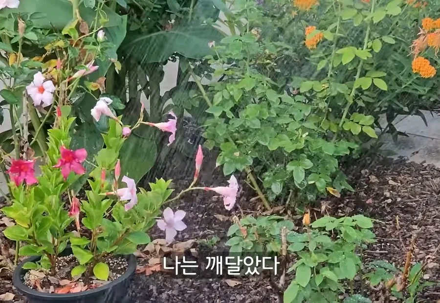 휴식을 위해