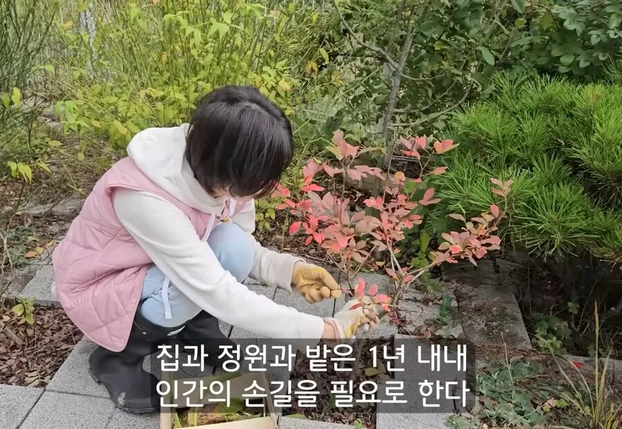 휴식을 위해