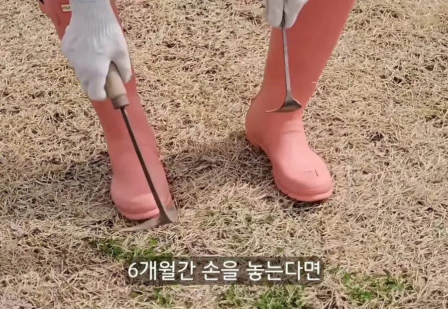 휴식을 위해