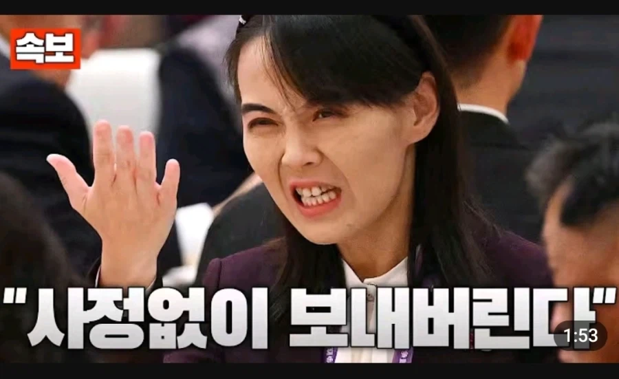 어느 해외토픽 유튜버 댓글상태_2.webp