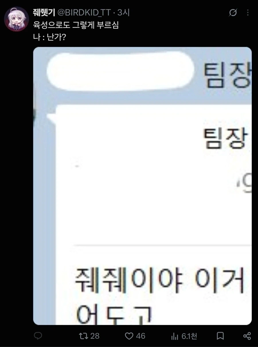 팀장 : 줴줴이야_2.webp