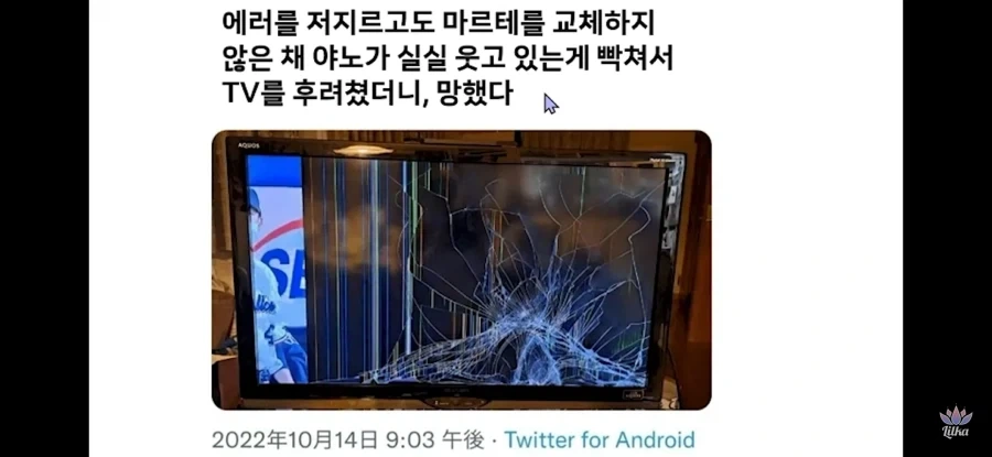 야구팬은 국적을 안가리고 비슷하구나_2.webp