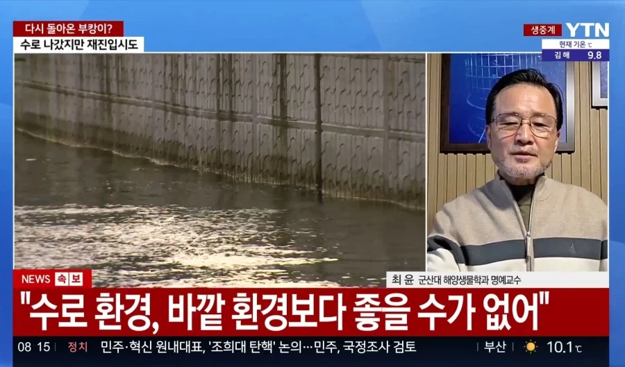 전문가