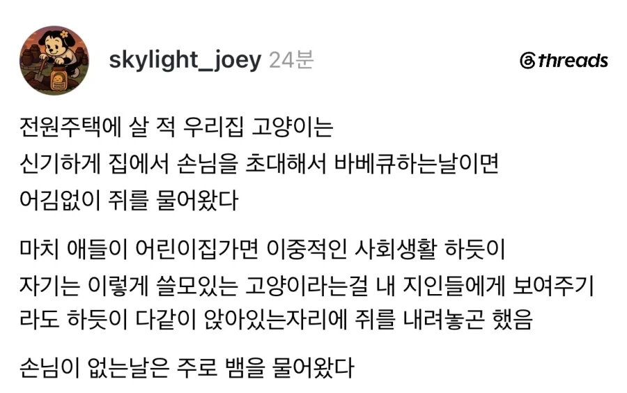 사회생활하는 고양이.jpg_1.webp