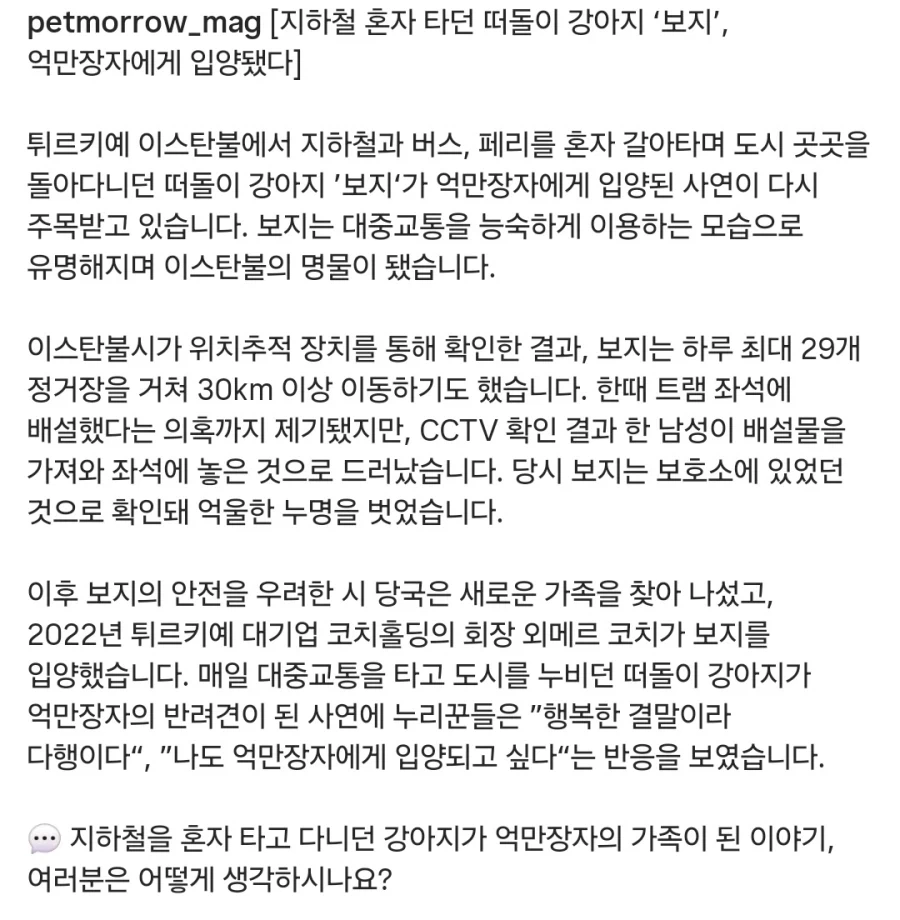 떠돌이 개
