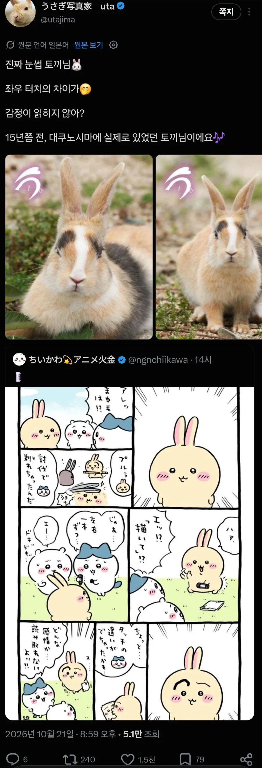 일본 토끼섬 전속 프로 사진사 특_1.webp