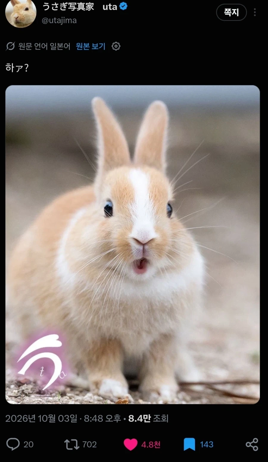 일본 토끼섬 전속 프로 사진사 특_2.webp