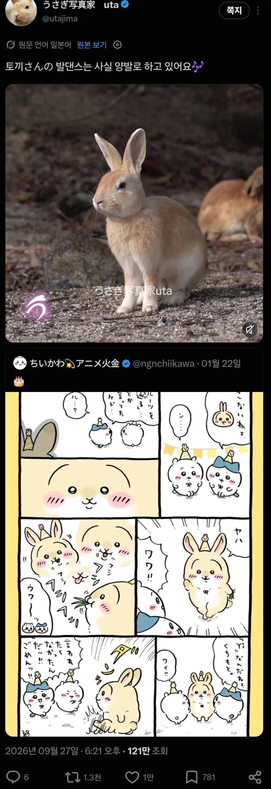 일본 토끼섬 전속 프로 사진사 특_6.webp