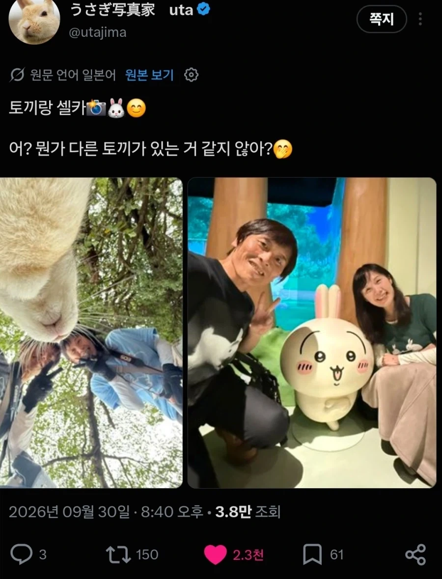 일본 토끼섬 전속 프로 사진사 특_7.webp