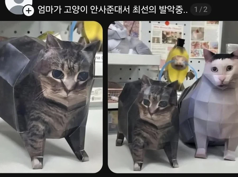 엄마가 고양이 안사준대서 최선의 발악중... .jpg_1.webp