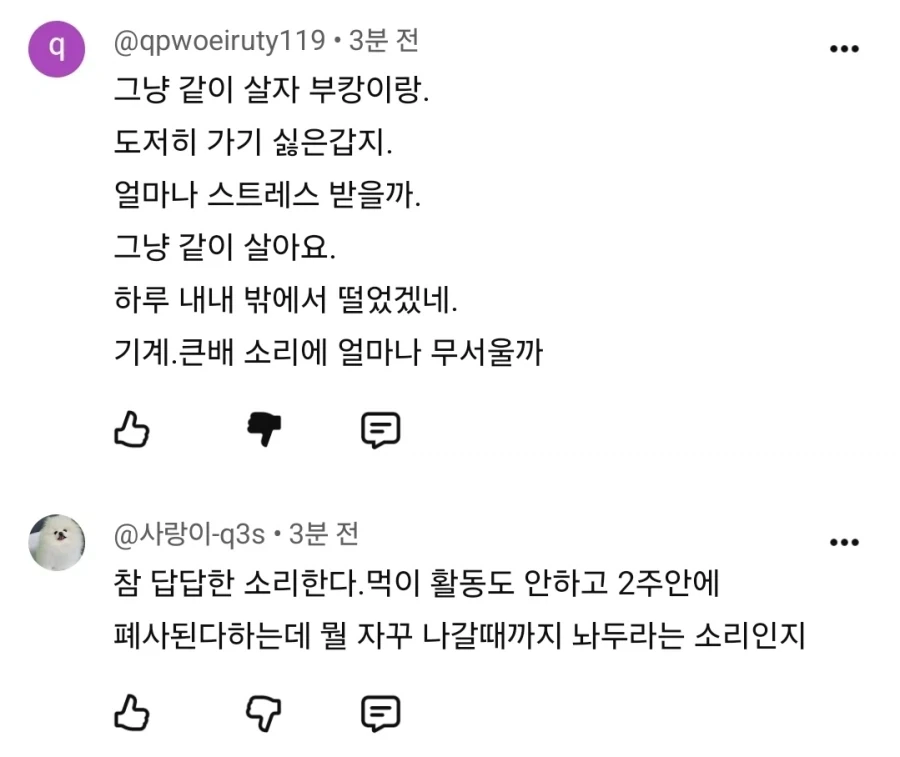 가불기 걸어버린 부캉이맘들.jpg_1.webp
