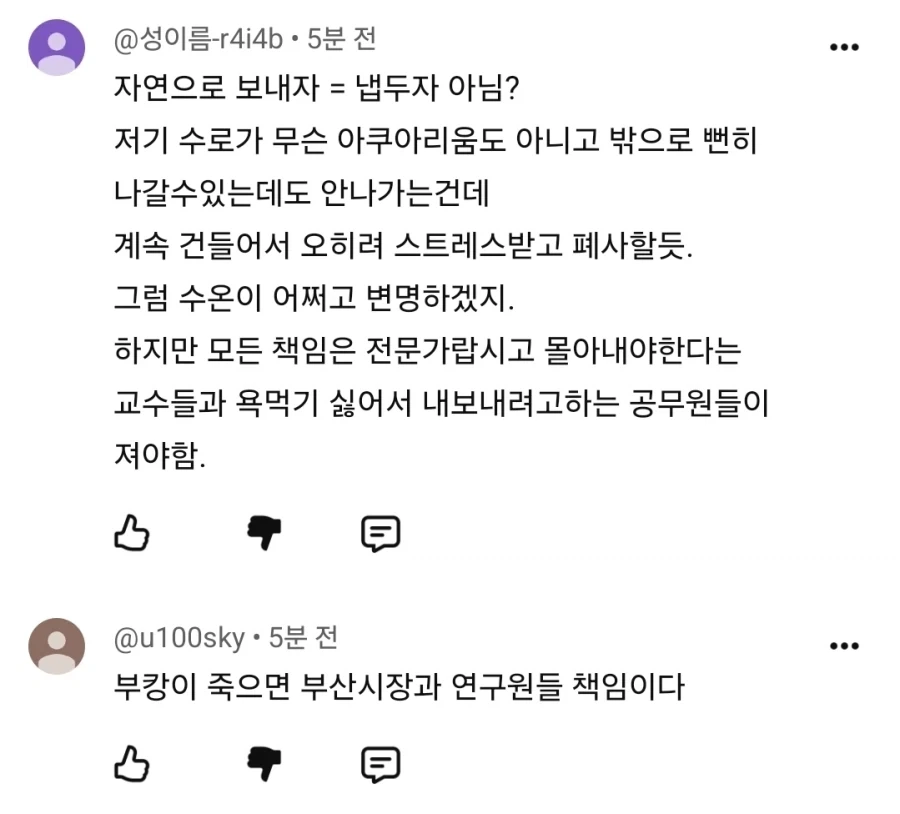 가불기 걸어버린 부캉이맘들.jpg_3.webp