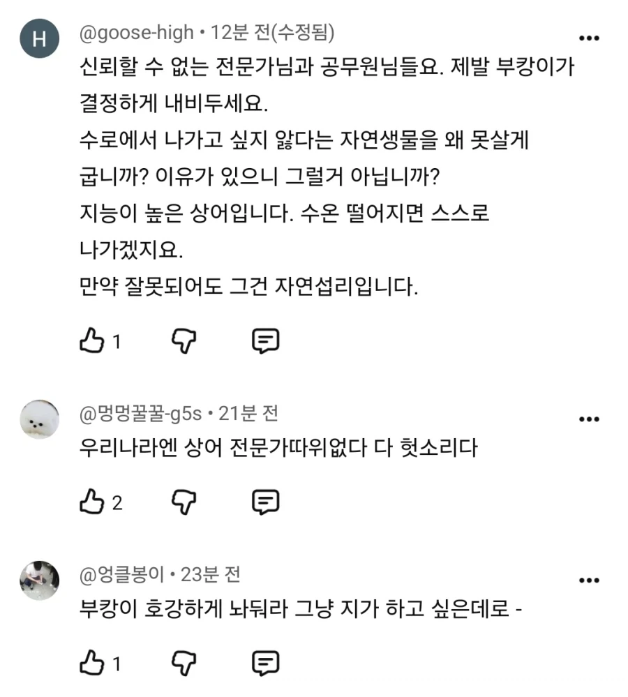 가불기 걸어버린 부캉이맘들.jpg_4.webp