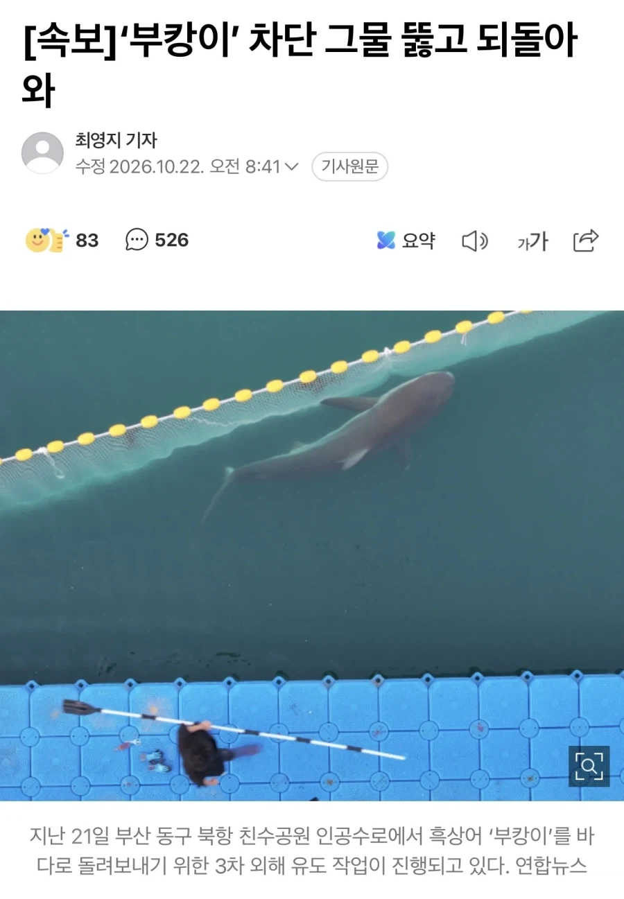 돌아와요~ 부산항에~~_1.webp
