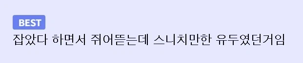해리포터) 골드 스니치 대신에 다른걸 잡은 해리.jpg_2.webp