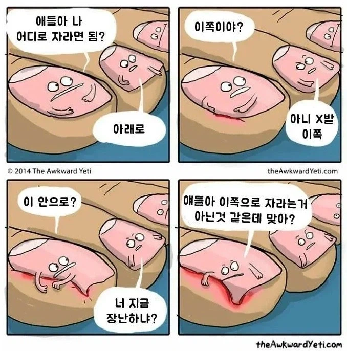 “얘들아 나 어디로 자라면 돼?”.jpg_1.webp