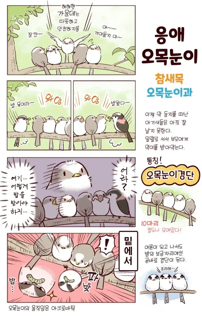 manga_77032536_b47d_001.webp
