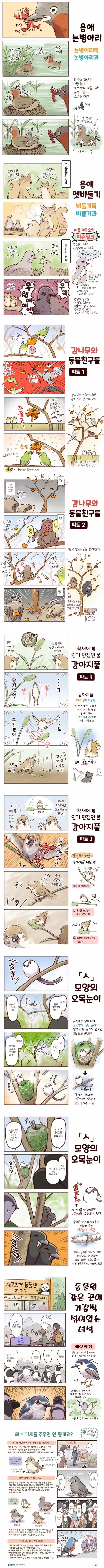 manga_77032536_b47d_002.webp