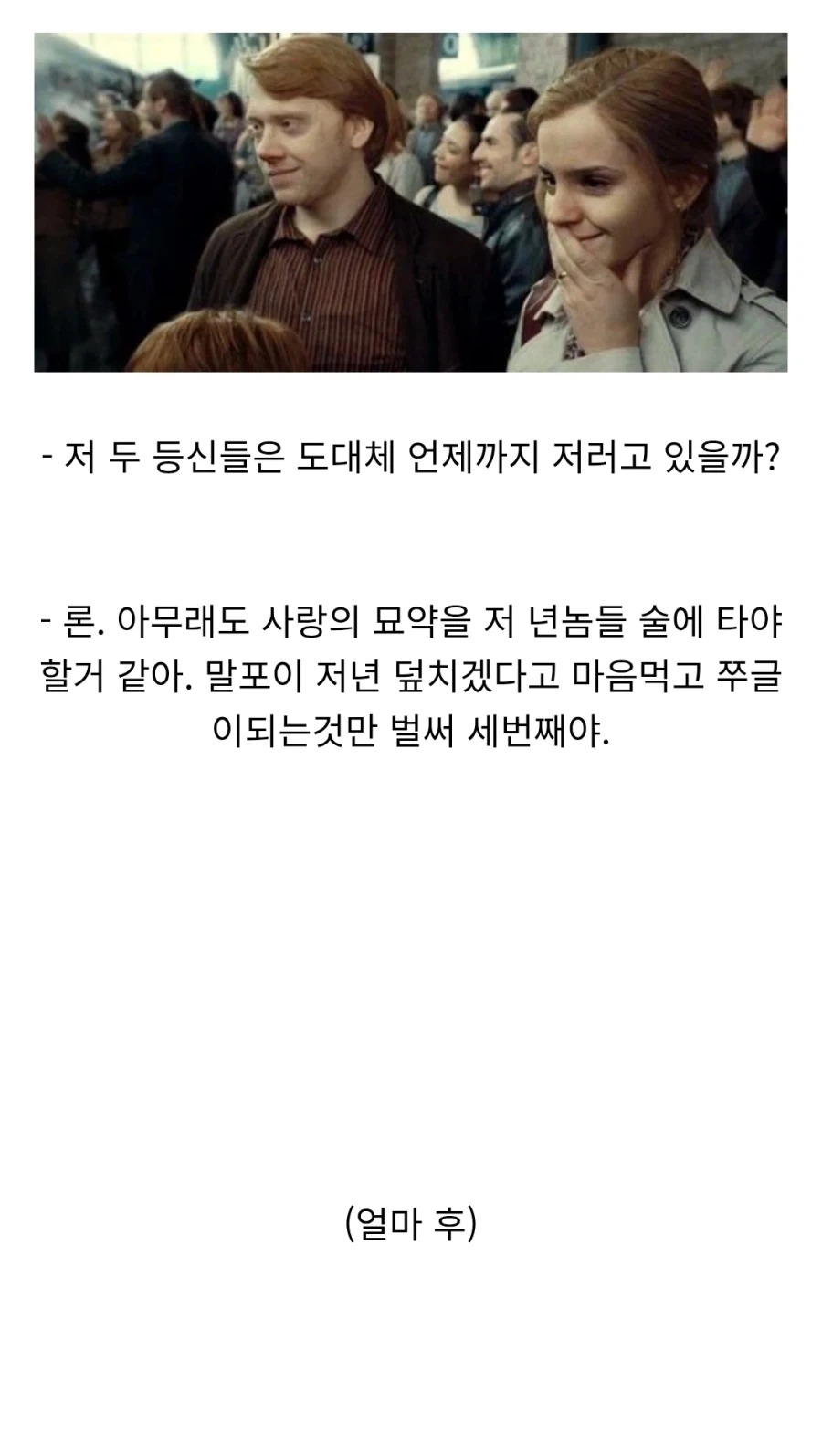 해리포터)