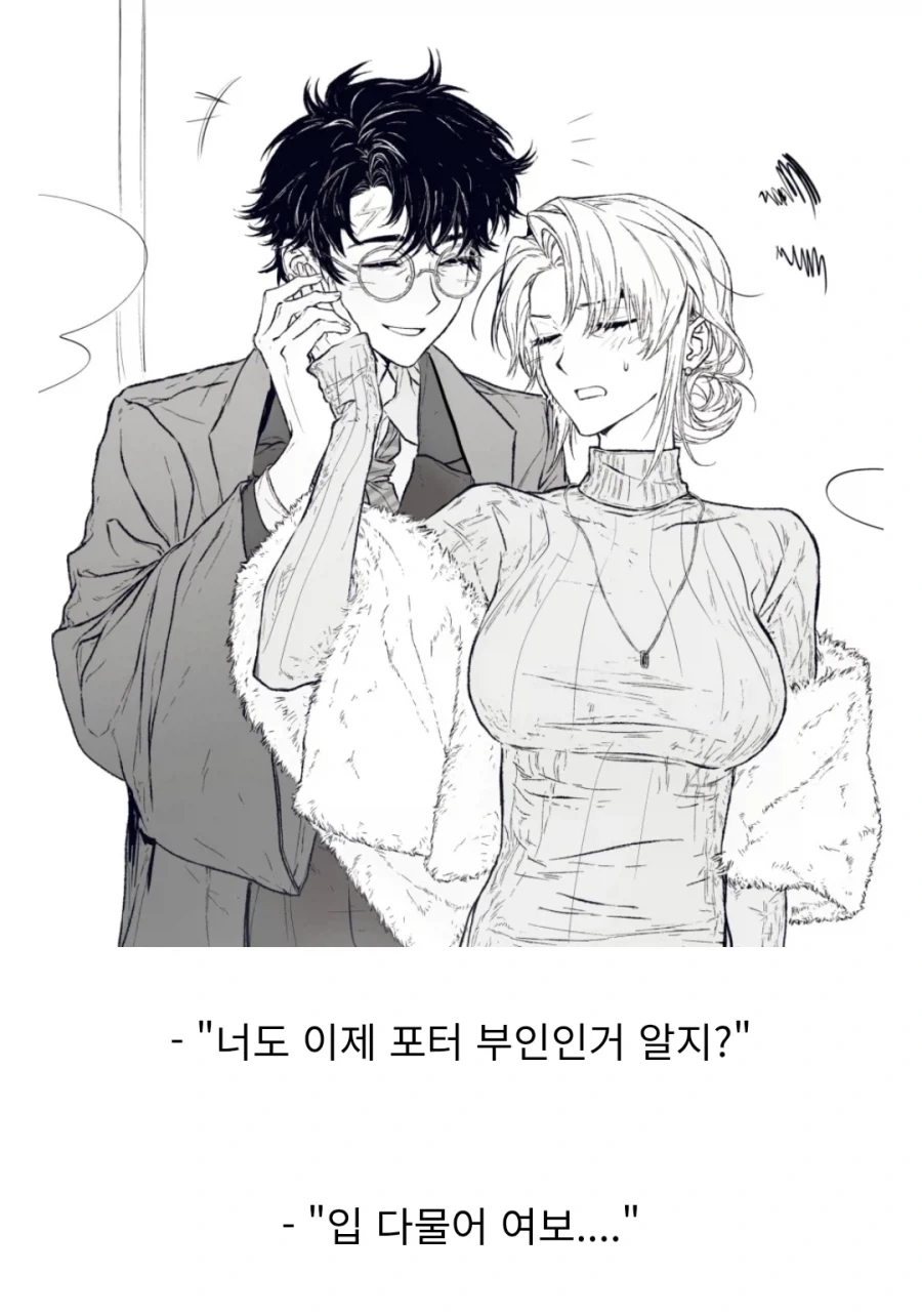 해리포터)