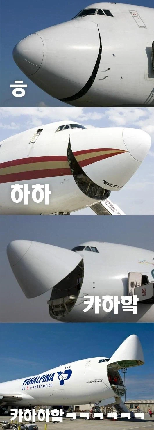 뻘하게 웃기는 짤ㅋㅋㅋ_1.webp