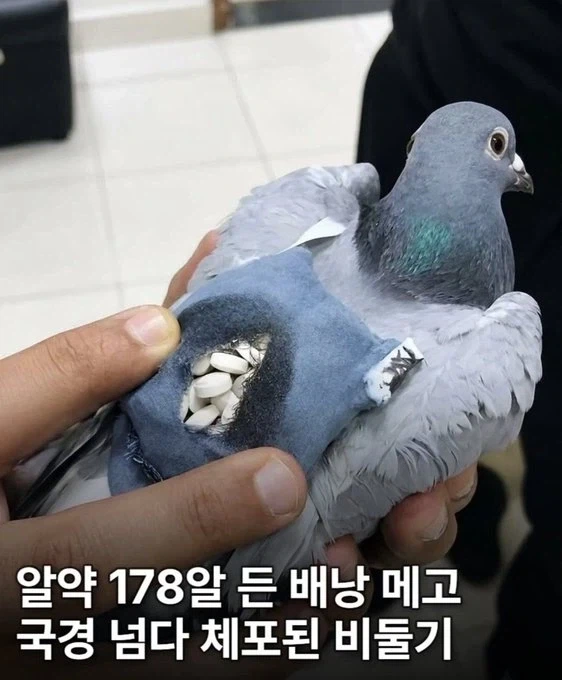 약서구.jpg_1.webp